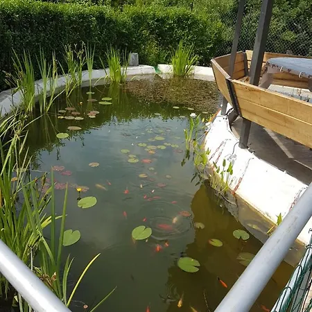 Guest house дургунската къща -durgunskata Kashta 4*