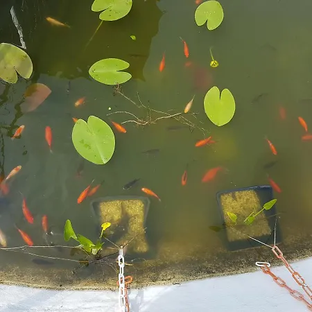 дургунската къща -durgunskata Kashta Guest house 4*