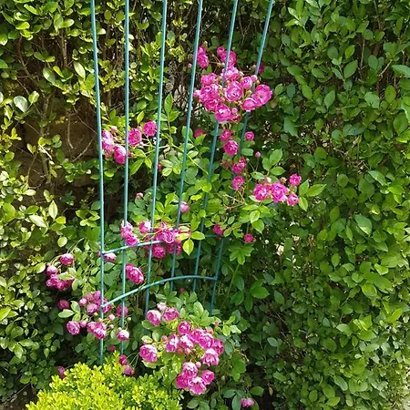 Guest house дургунската къща -durgunskata Kashta Stolat