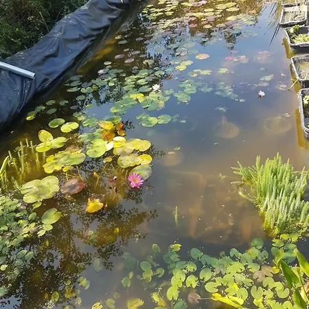 дургунската къща -durgunskata Kashta Guest house 4*