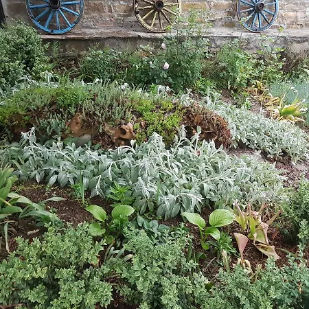 дургунската къща -durgunskata Kashta Guest house Stolat